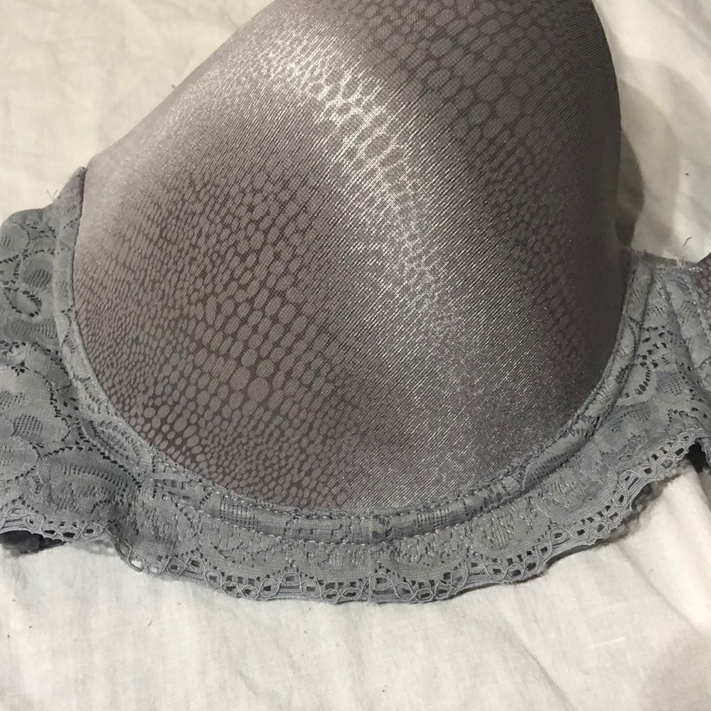 IZOD Bra - Picture 2 of 4